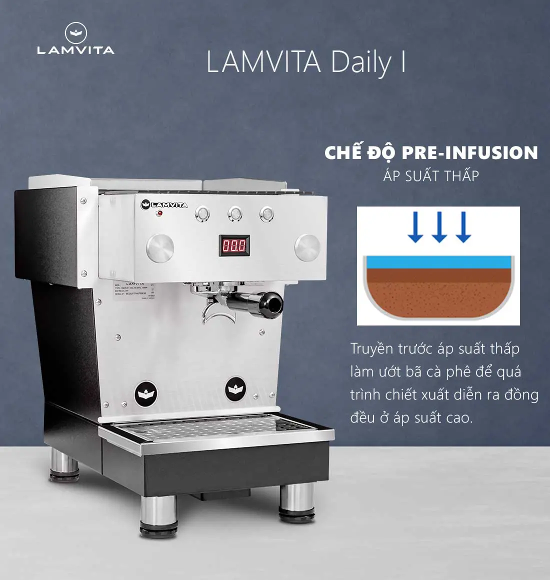 Máy Pha Cà Phê Lamvita Daily 1 - Ảnh 6
